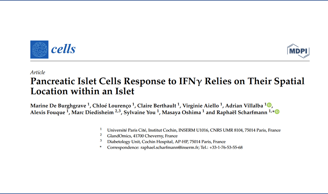 From the Scharfmann ‘s Lab