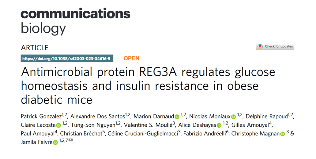 Collaborative work of REGLYS Team