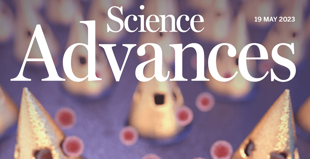Mice with humanized livers reveal the role of hepatocyte clocks in rhythmic behavior